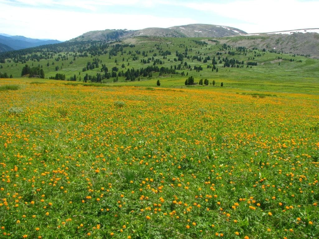 Конный тур к озеру Манас - фото 2