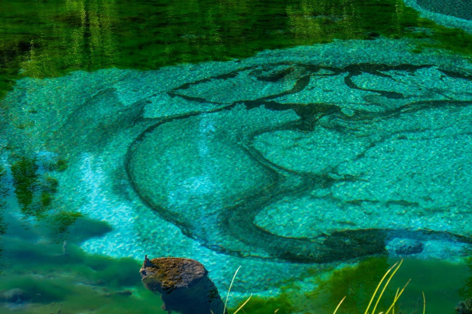 "Улаганское нагорье" - фото 3