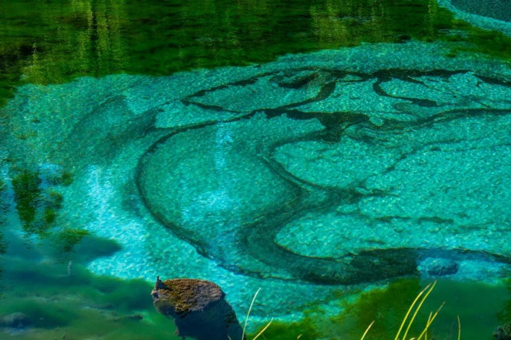 "Улаганское нагорье" - фото 3