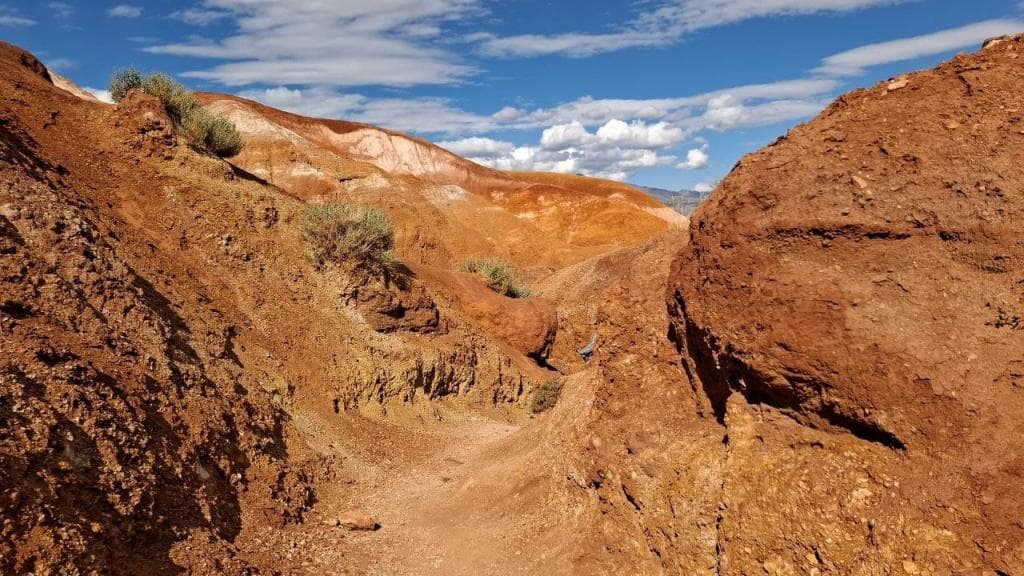 "Улаганское нагорье" - фото 4