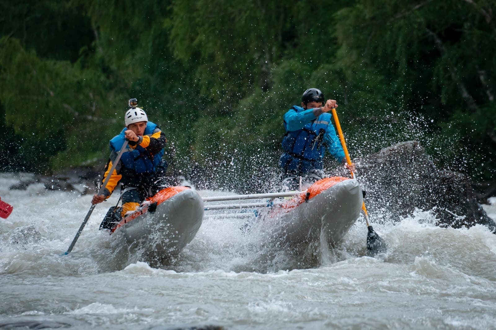 "Чуя-Катунь" - фото 1
