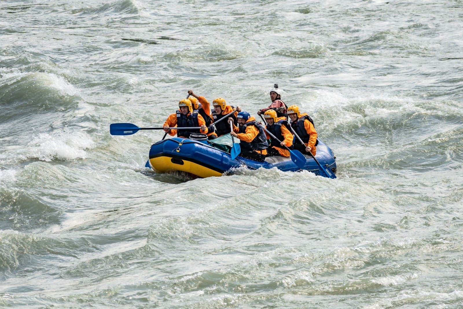 "Катунь-спринт" - фото 1