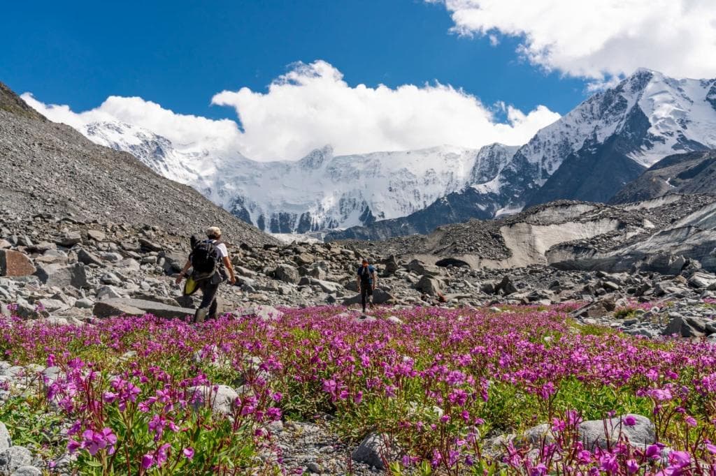 "К Белухе пешком" - фото 1