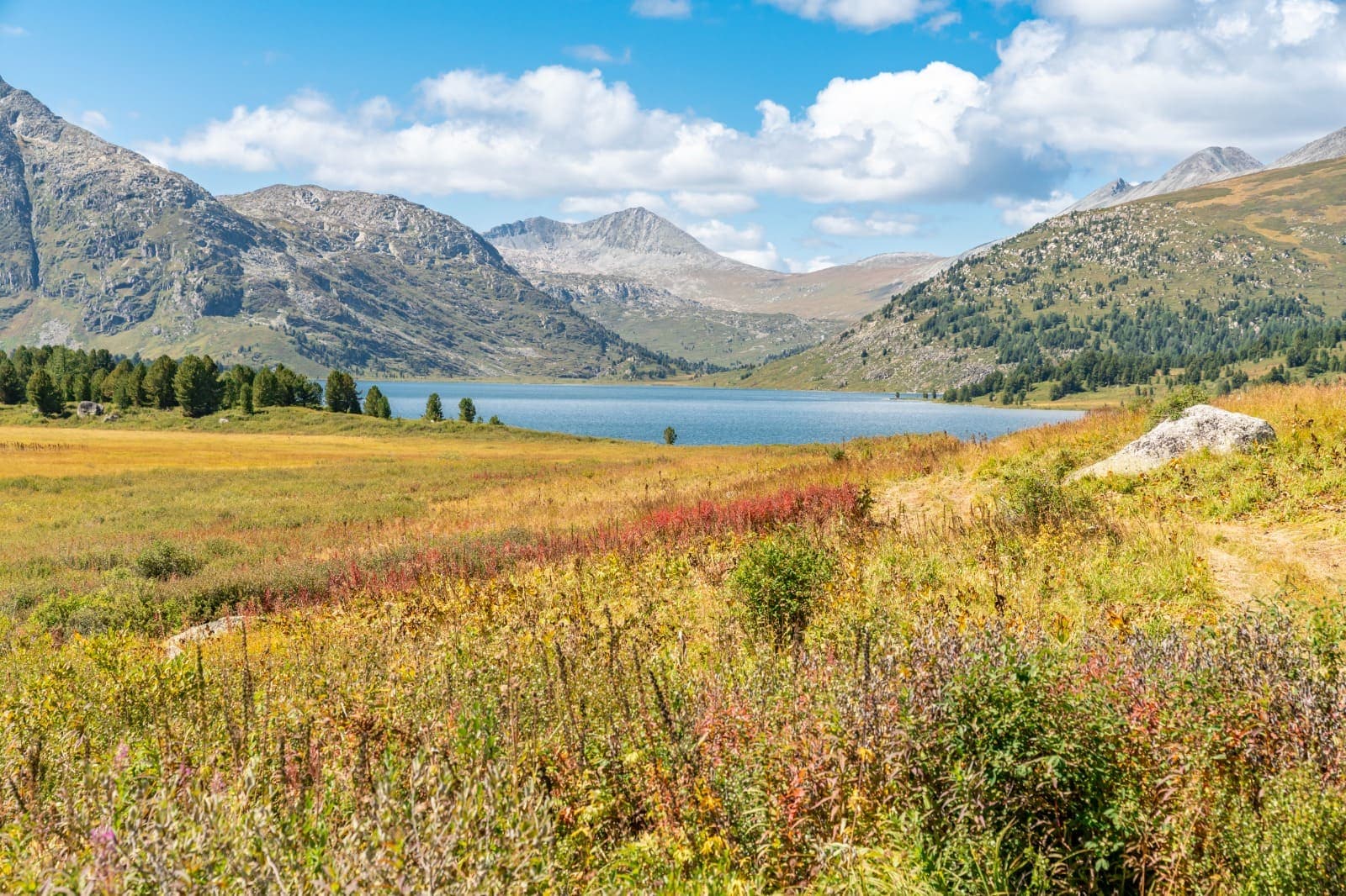 "Конное путешествие на плато Укок" - фото 3