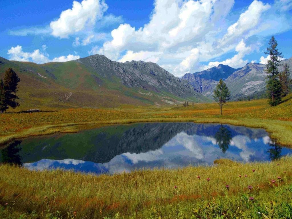 "Тальменное-Мульта" - фото 1