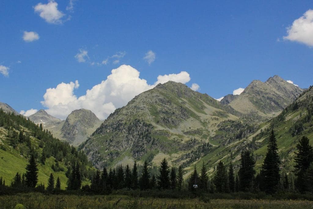 "Тальменное-Мульта" - фото 4