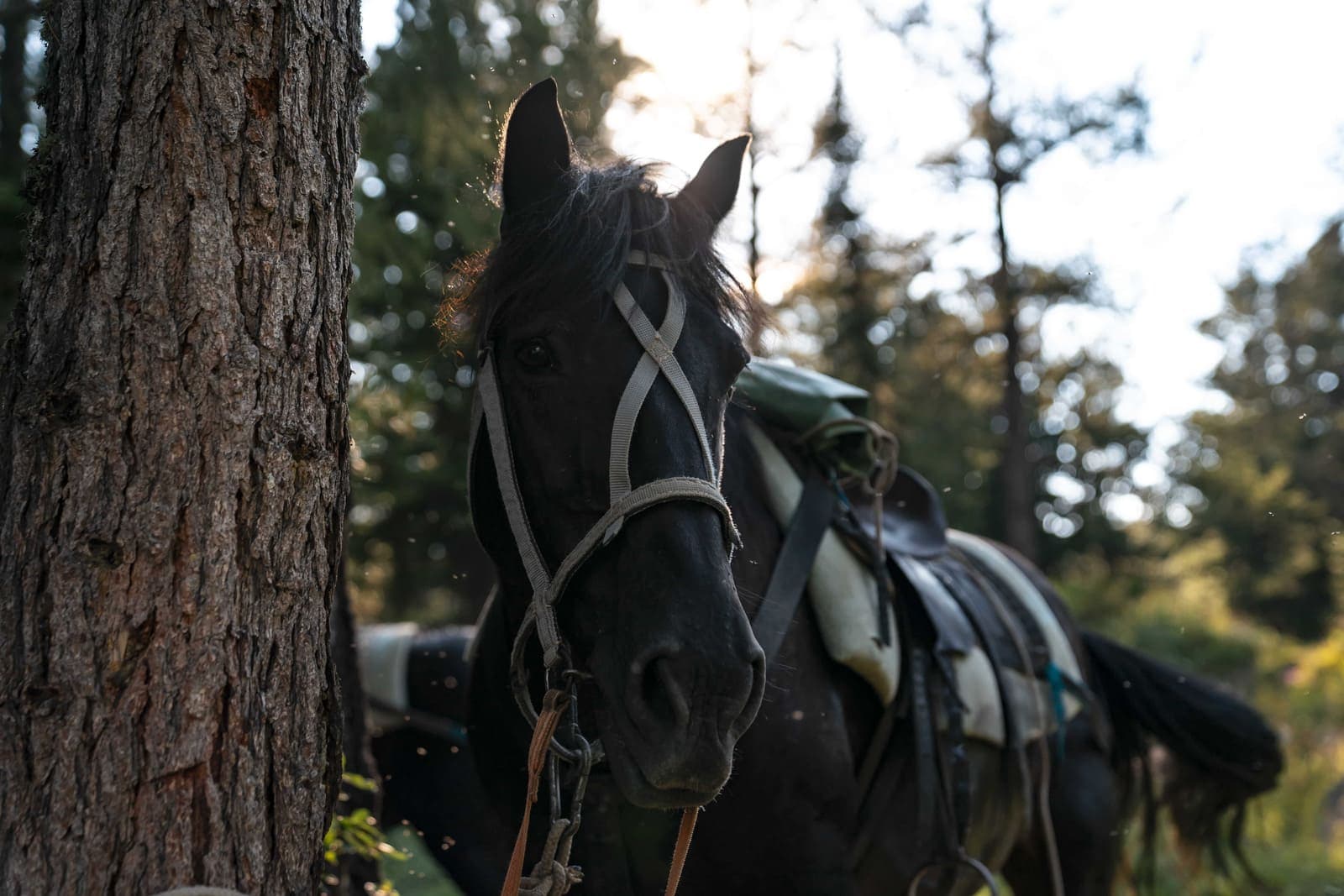 "Путешествие на Красные озёра" - фото 6
