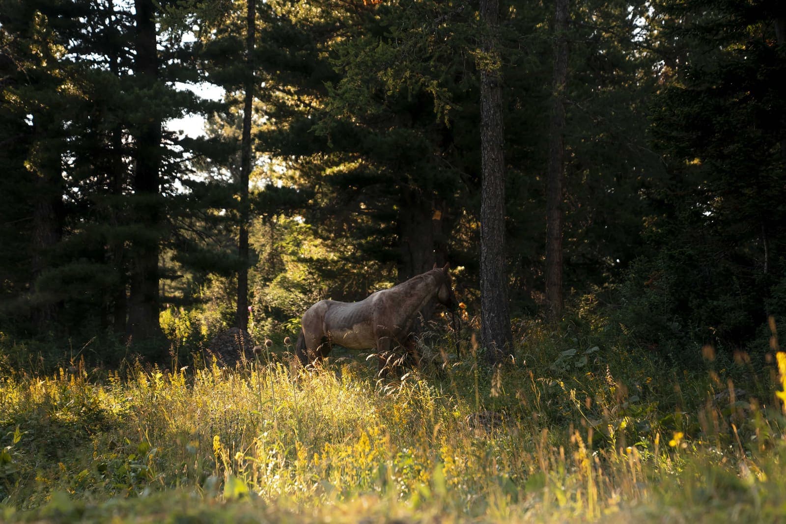 "Путешествие на Красные озёра" - фото 8