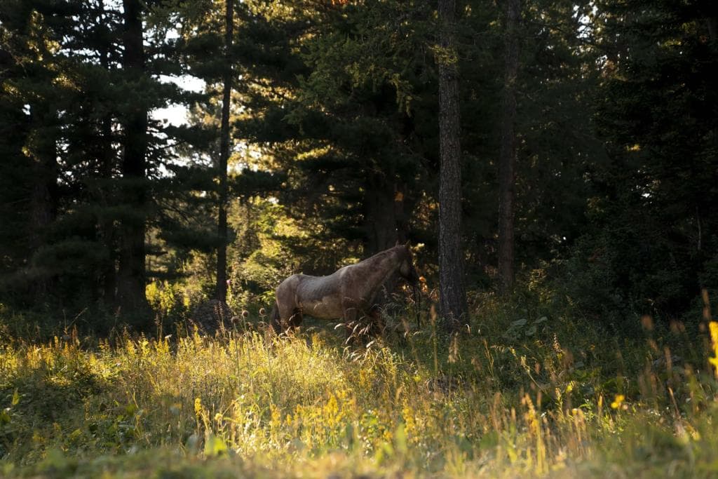 "Путешествие на Красные озёра" - фото 8