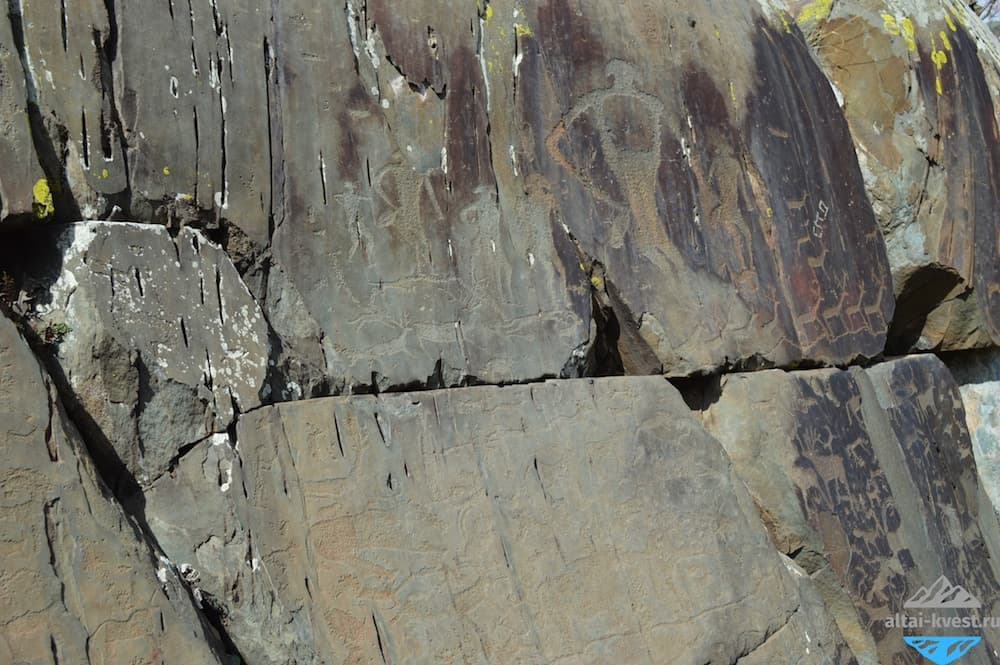 Экскурсия по Чуйскому тракту до урочища Калбак-Таш - фото 6