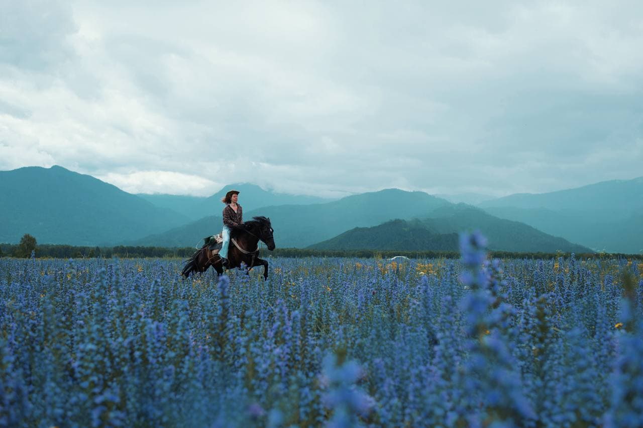 Spirit: Галопом По Уймонской Долине - фото 1