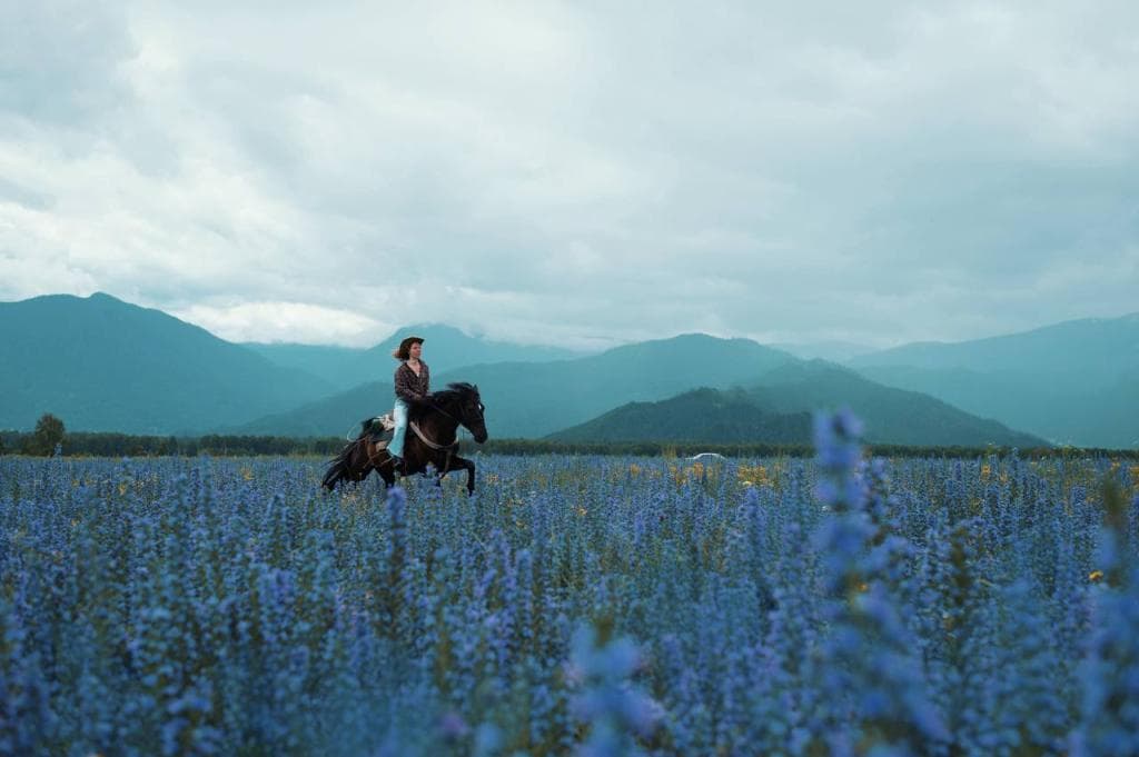 Spirit: Галопом По Уймонской Долине - фото 1