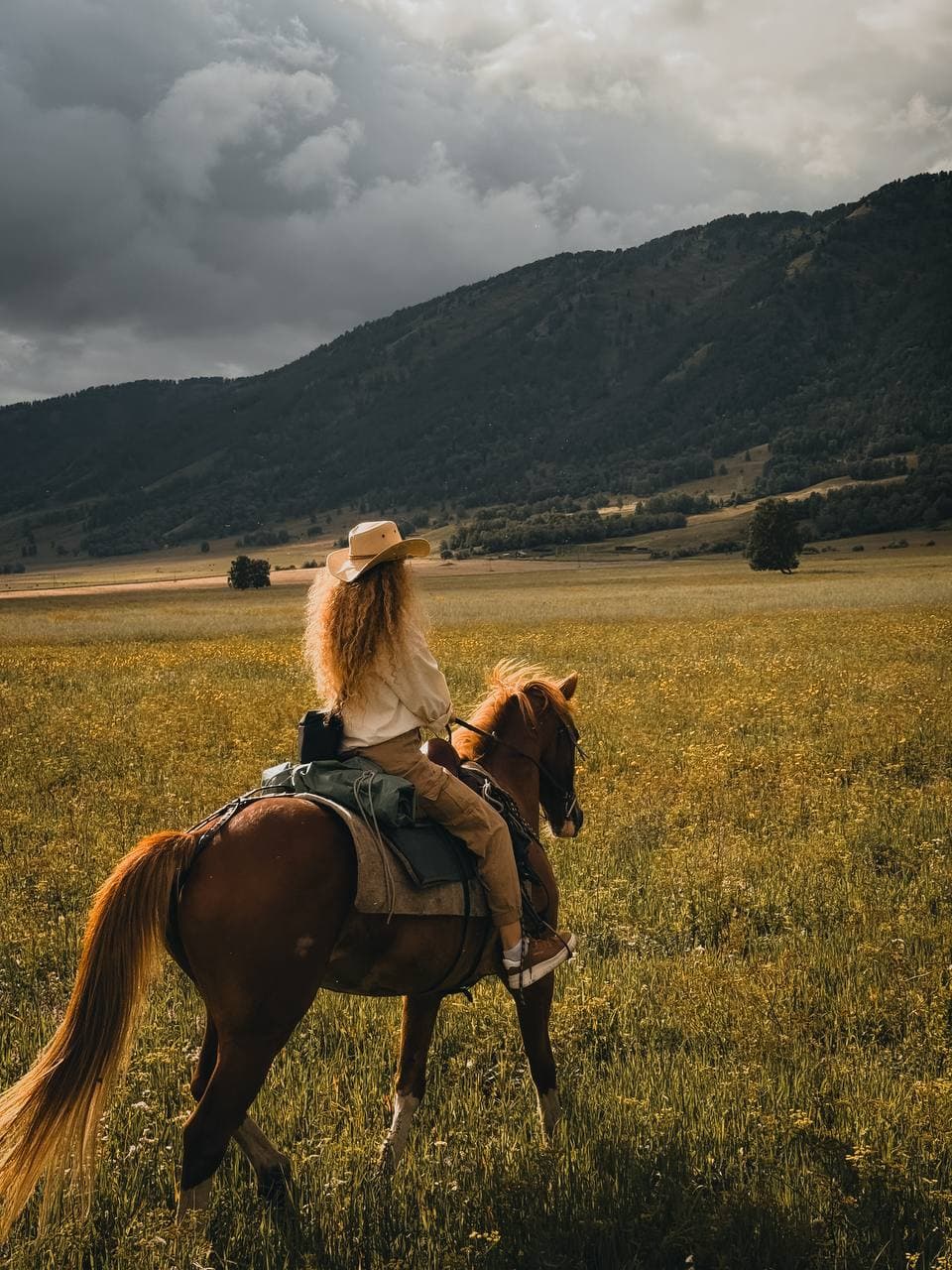 Spirit: Галопом По Уймонской Долине - фото 4