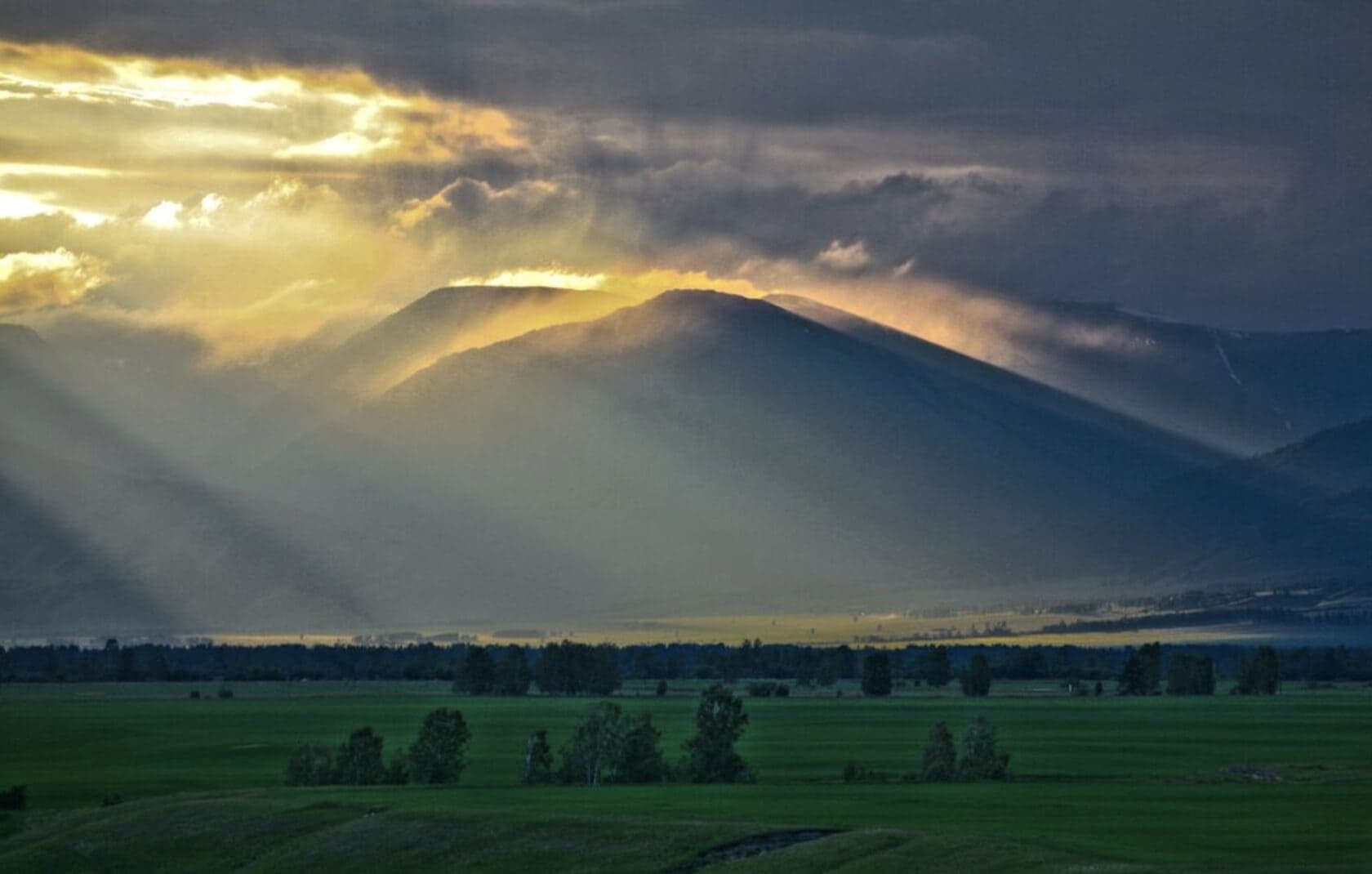 Алтай MAXIMUM - фото 1
