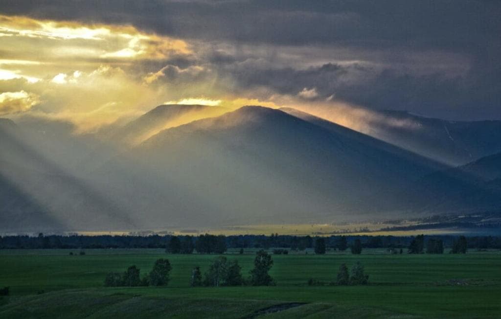 Алтай MAXIMUM - фото 1