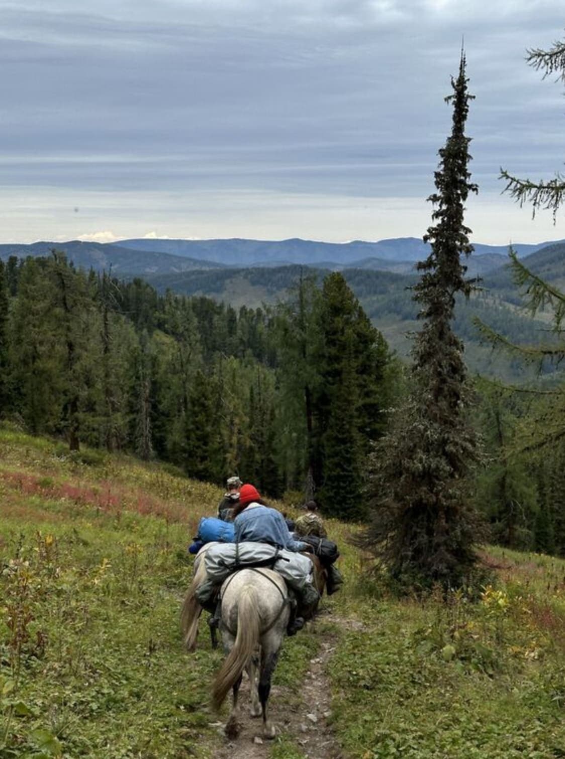 Тайные виды на гору Красная - фото 9