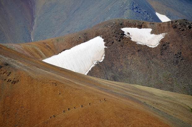 “Созвездие трёх Архаров” - фото 3