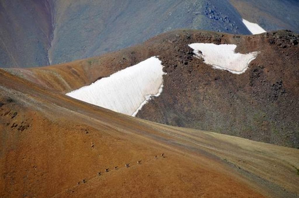 “Созвездие трёх Архаров” - фото 3