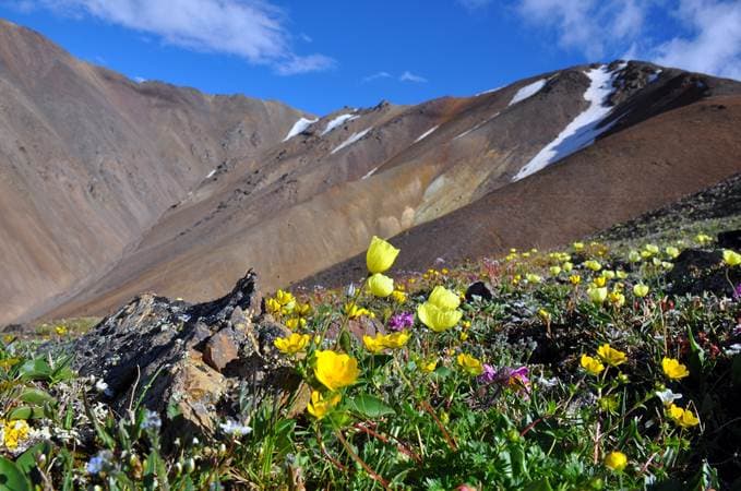 “Созвездие трёх Архаров” - фото 5
