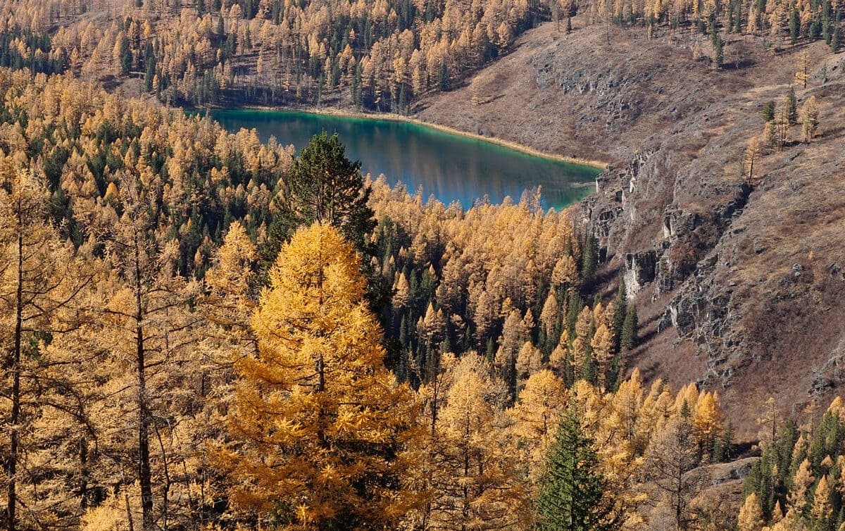 "Золото Алтая", осенний тур - фото 2