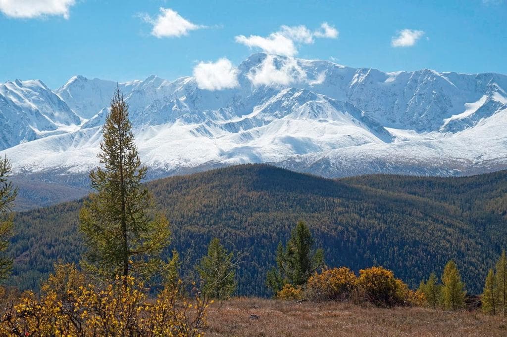 "Золото Алтая", осенний тур - фото 3