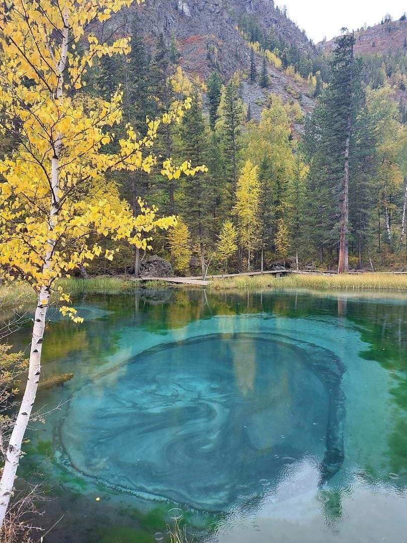 "Золото Алтая", осенний тур - фото 6
