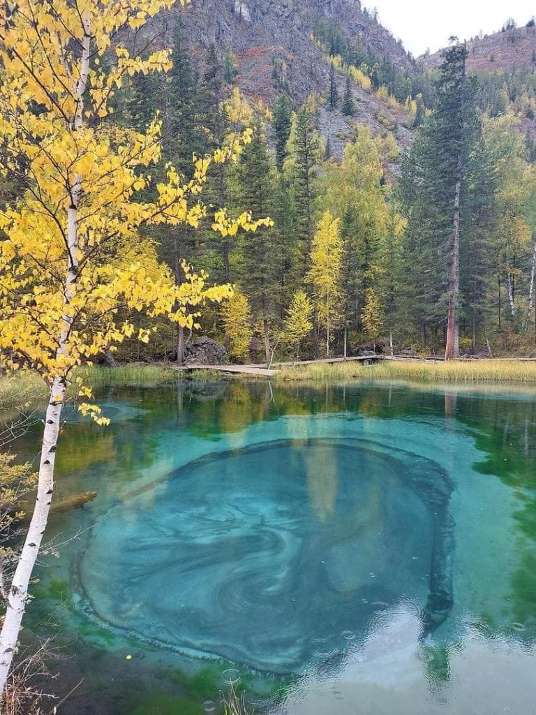 "Золото Алтая", осенний тур - фото 6
