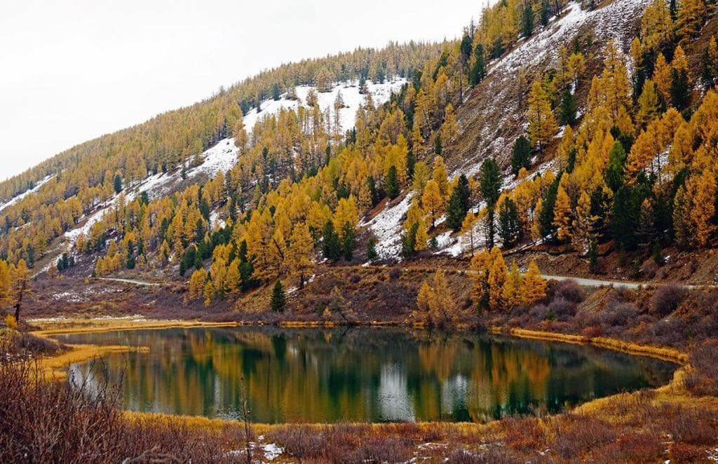 "Золото Алтая", осенний тур - фото 8