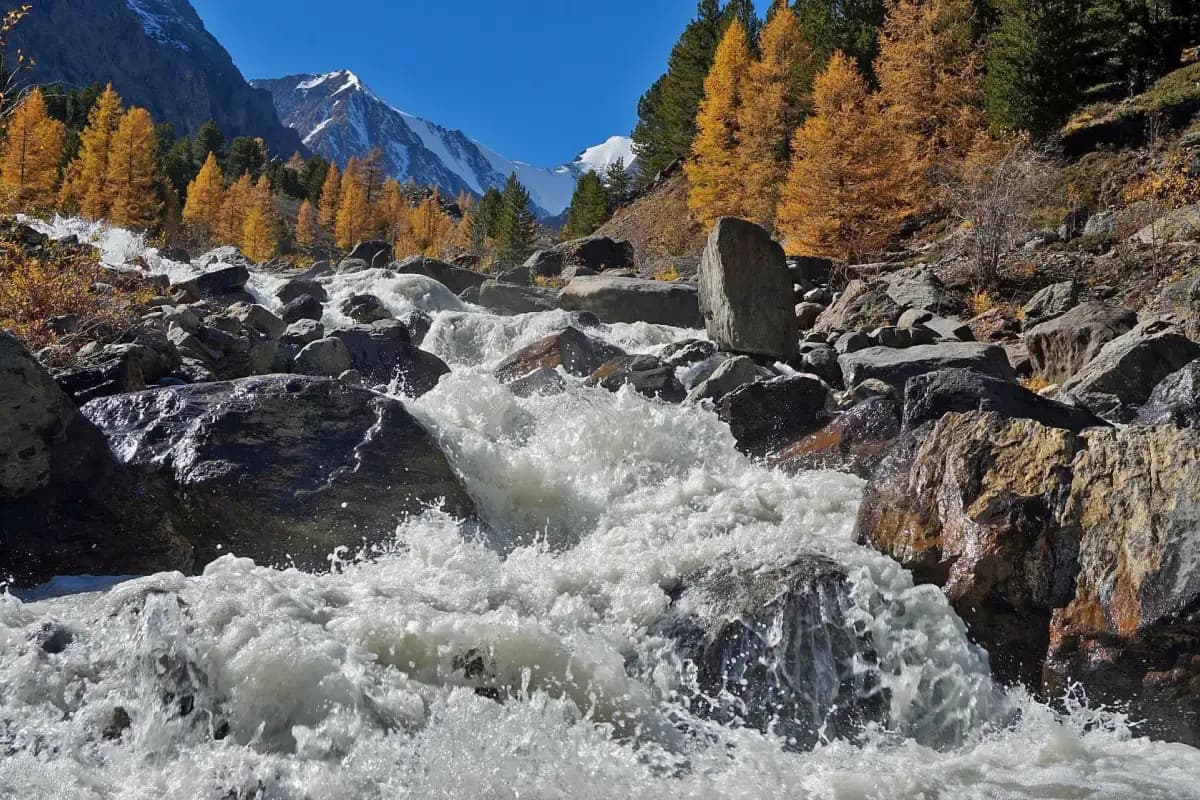 "Серебро Алтая", треккинг без рюкзаков к ледникам Актру. - фото 8