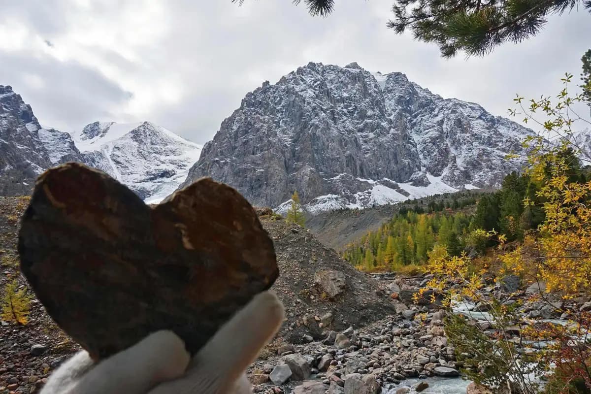 "Серебро Алтая", треккинг без рюкзаков к ледникам Актру. - фото 1