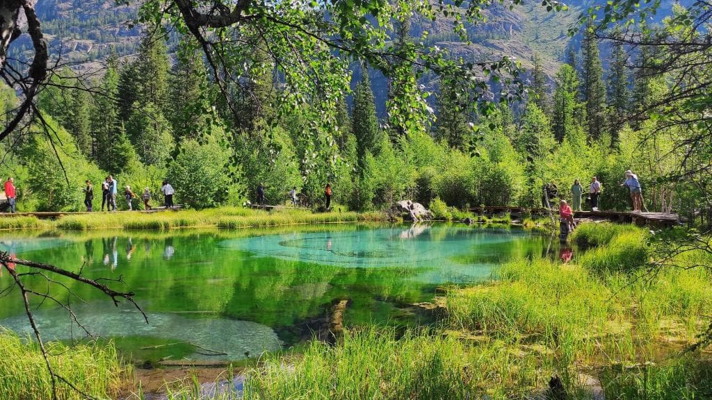 "Топ-7 красот Алтая", экскурсионный автотур - фото 1