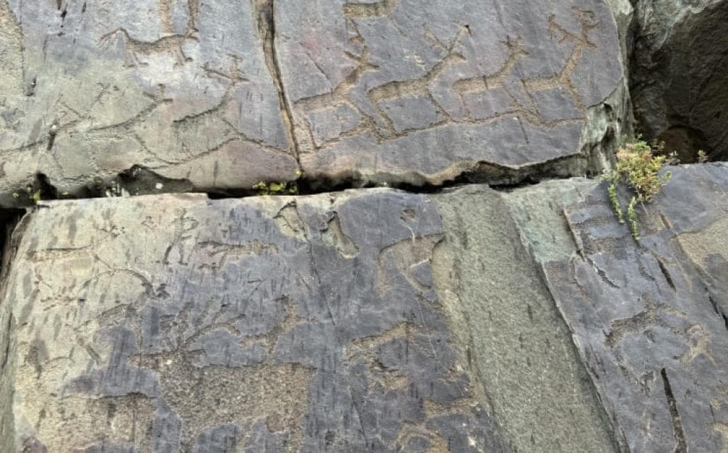 Экскурсионный тур «Лето в сердце Алтая» - фото 2