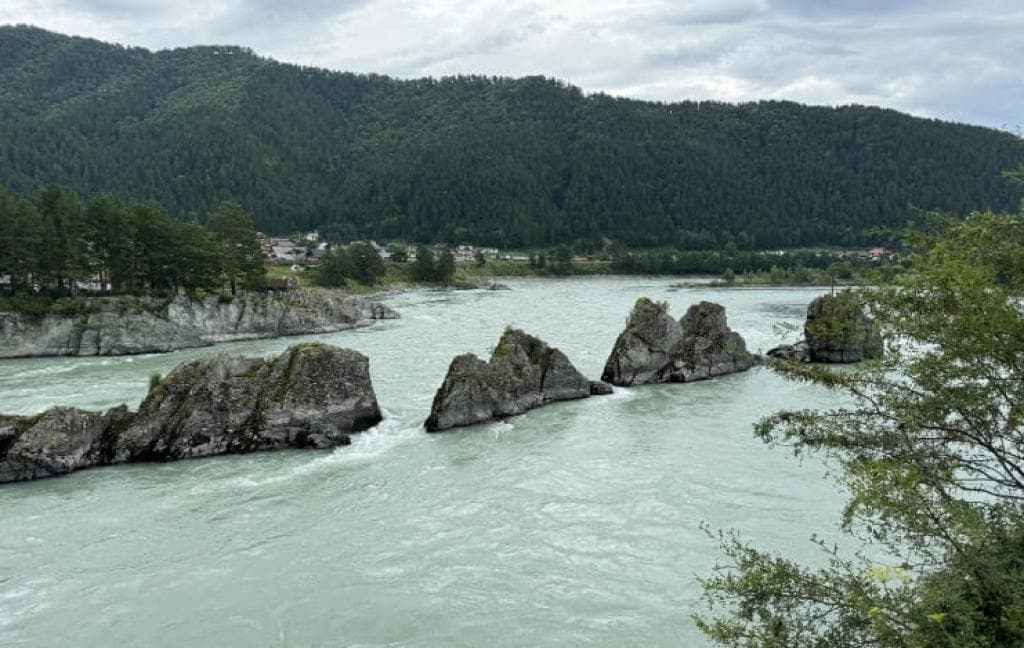 Экскурсионный тур «Лето в сердце Алтая» - фото 6
