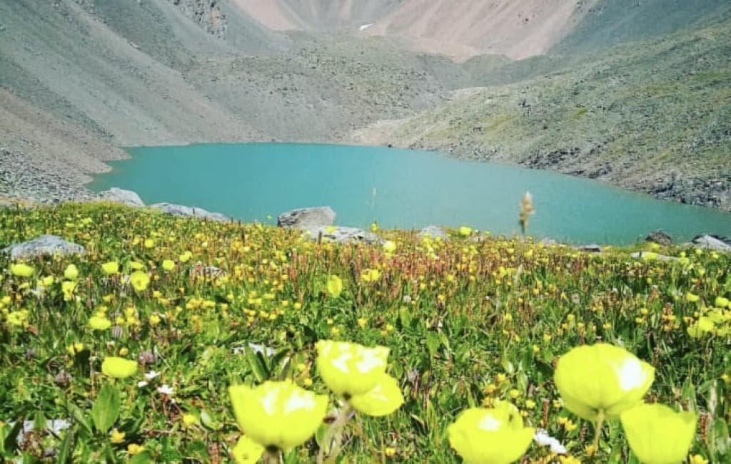 Комбинированный тур: «Курайские истории» - фото 1