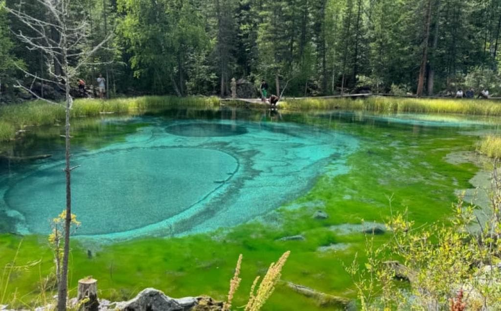 Экскурсионный тур «Осеннее дыхание Алтая» - фото 7