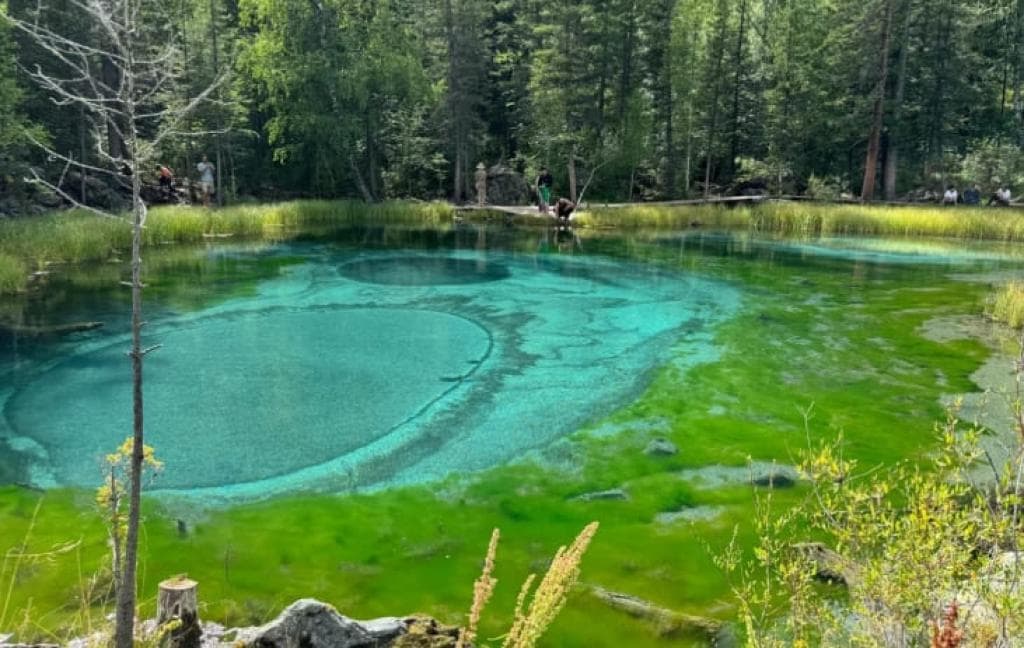 Экскурсионный тур «Весна в сердце Алтайских гор» - фото 1