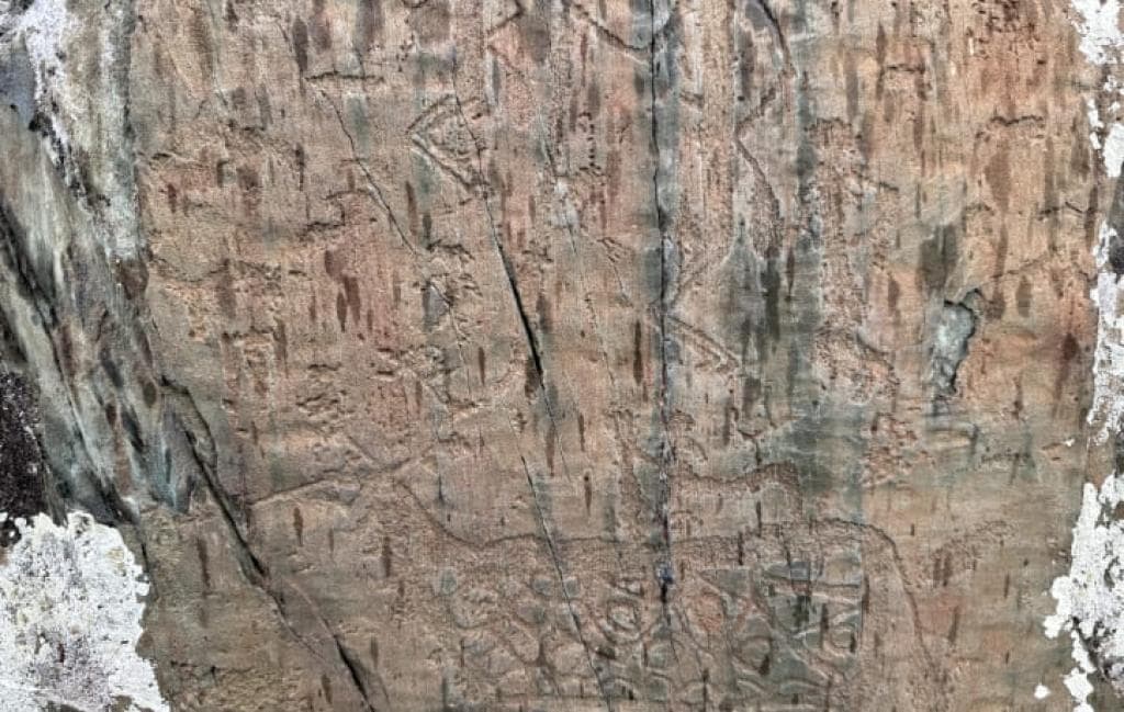 Экскурсионный тур «Весна в сердце Алтайских гор» - фото 3