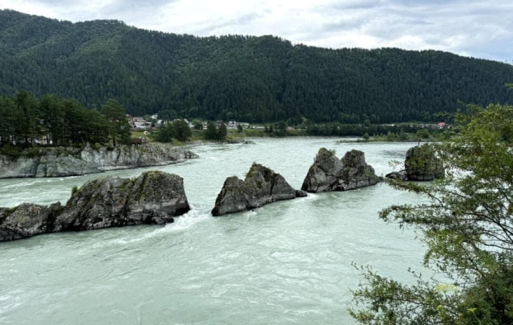 Экскурсионный тур «Весеннее пробуждение Алтая» - фото 4