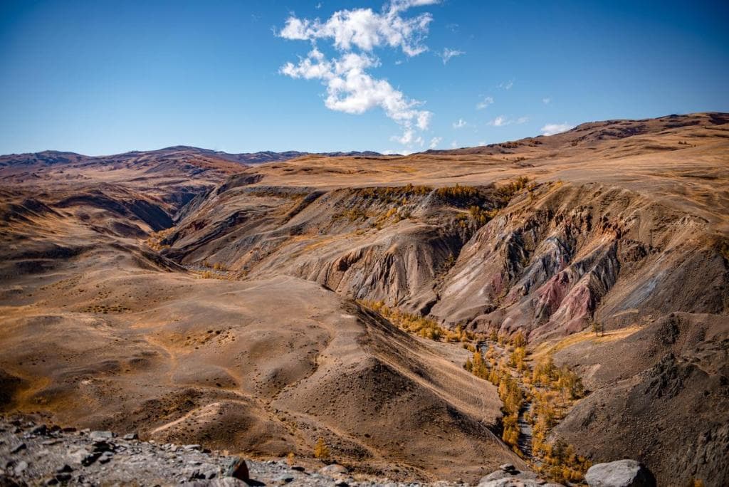 Осенние краски Алтая - фото 2