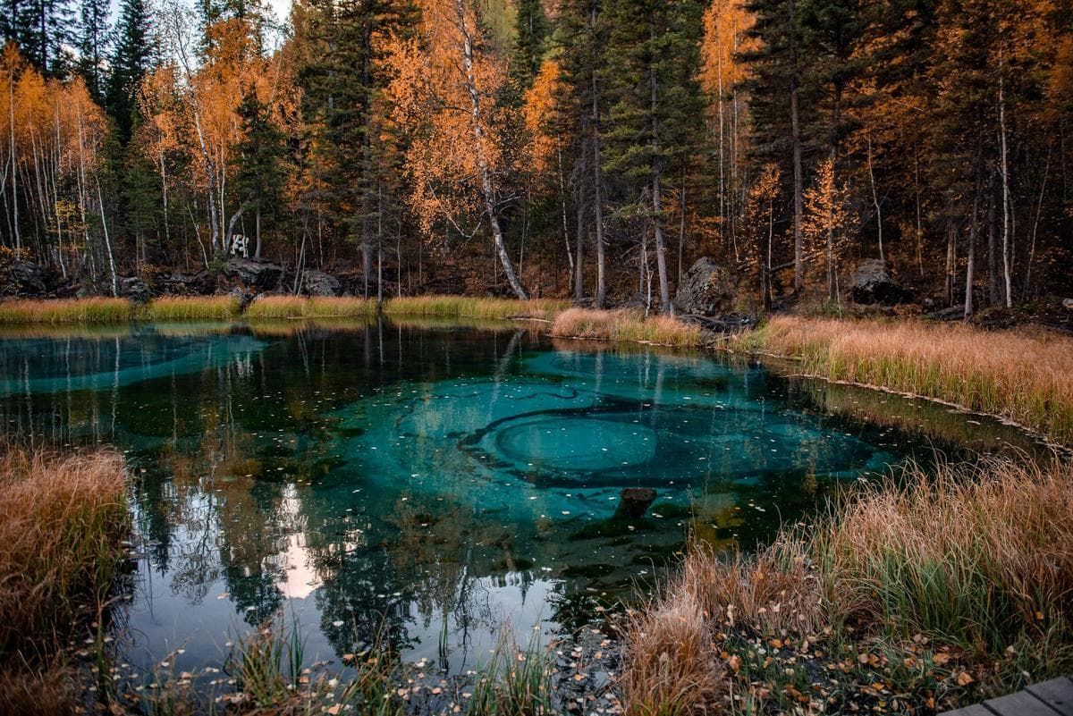 Осенние краски Алтая - фото 6