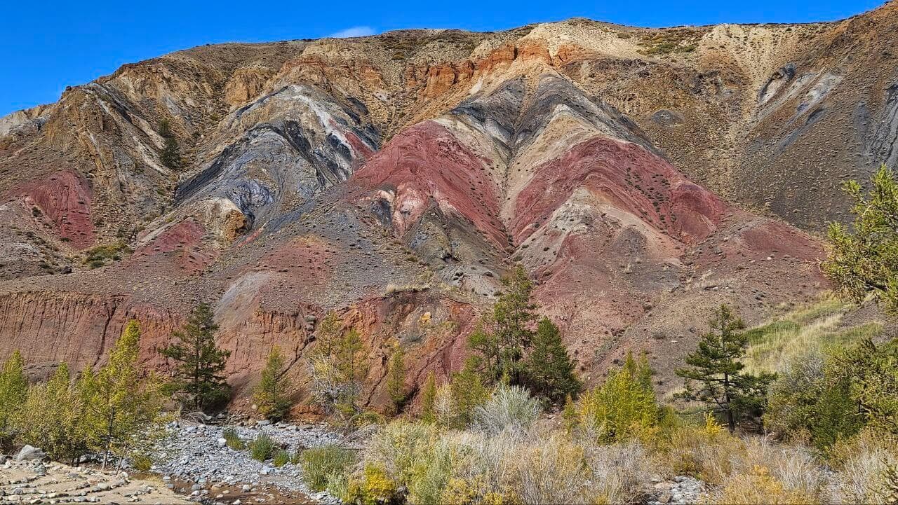 ООО "АлтайЦентр" - фото 5