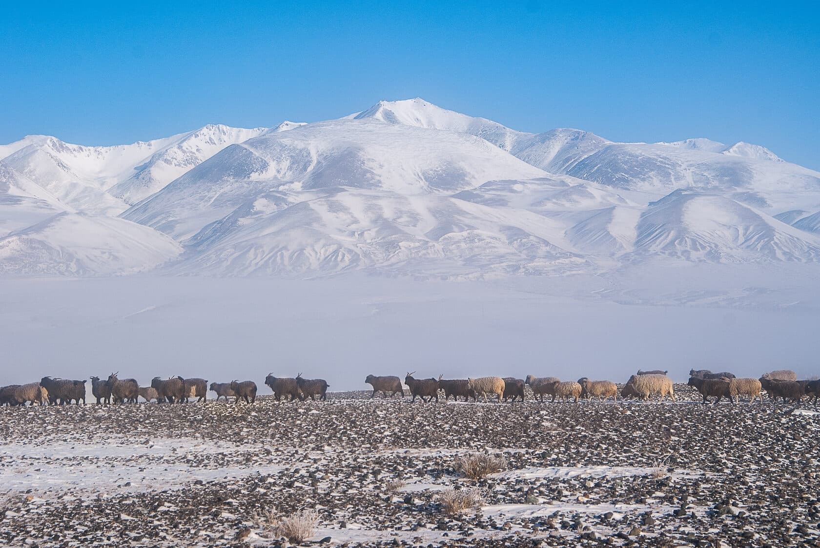 «Зима на границе: 3 сказки» - фото 11