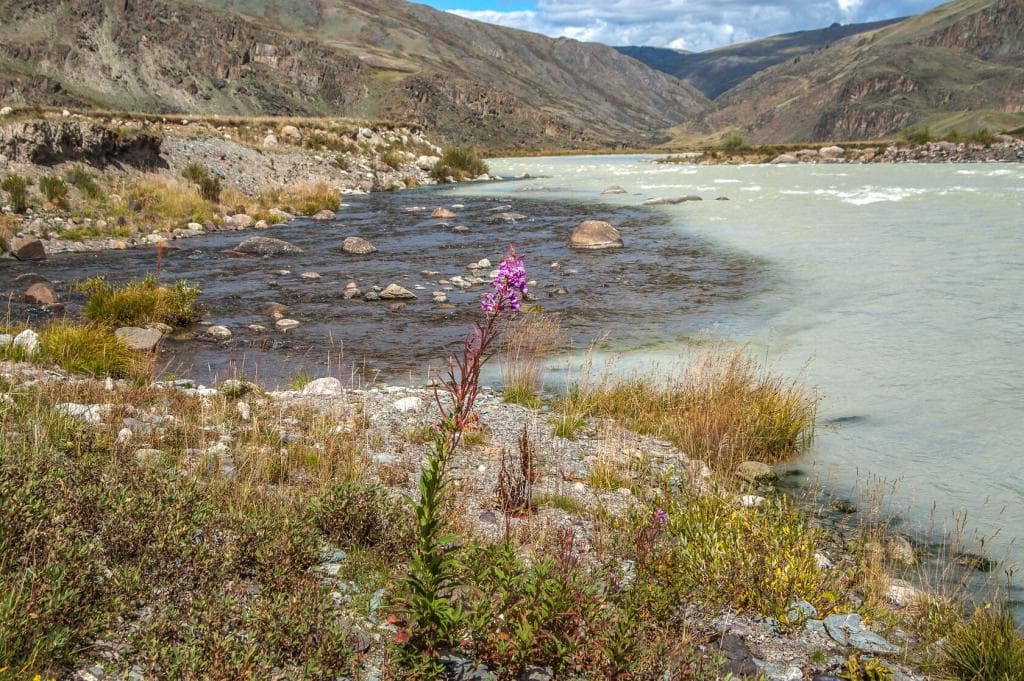 «Укок - место силы» - фото 6