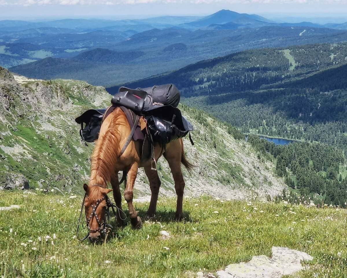 «Алтай: Духи пробуждаются» aвторский конный тур - фото 12