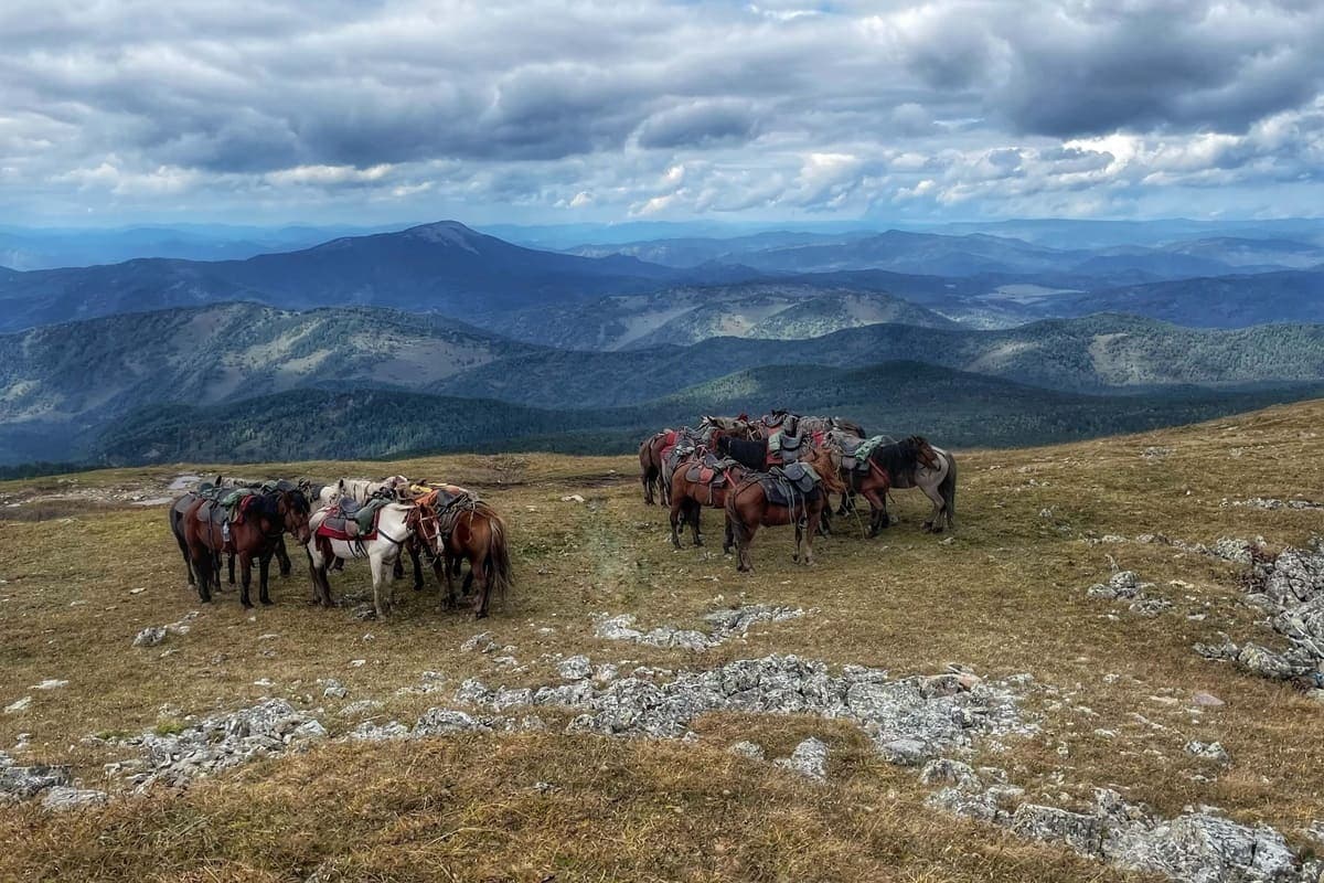 Конный тур «Алтай для новичков» или к Каракольским озерам налегке - фото 4