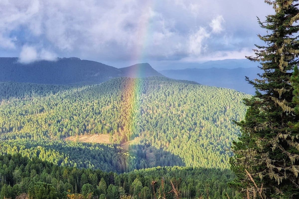 Конный тур «Алтай для новичков» или к Каракольским озерам налегке - фото 5