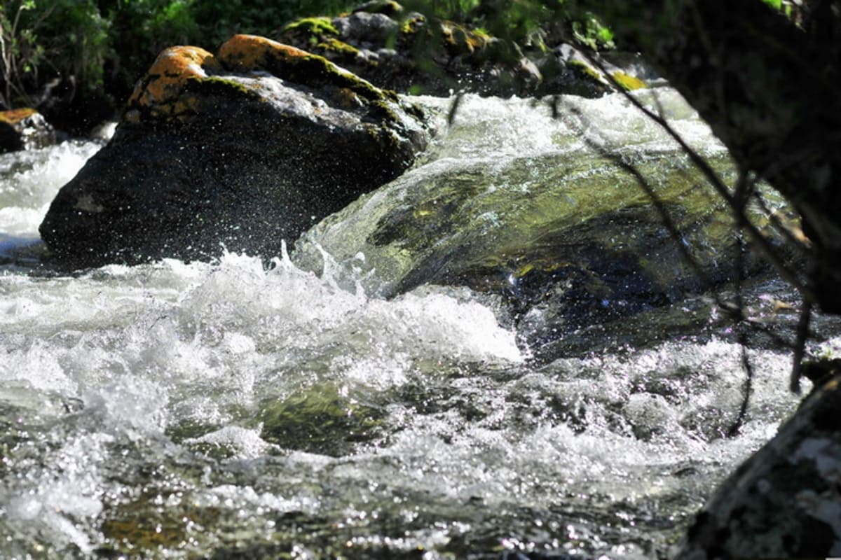 Конный тур «Алтай для новичков» или к Каракольским озерам налегке - фото 10