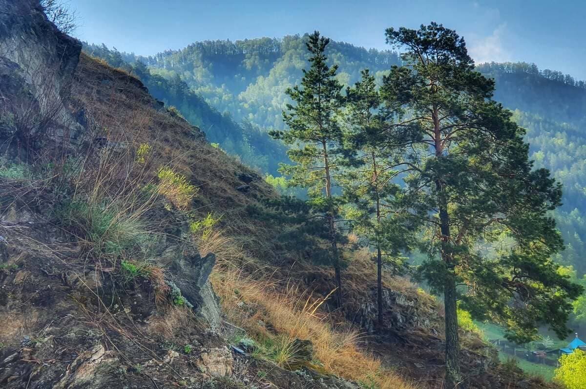 Конный тур для опытных всадников «Галопом по Алтаю» - фото 10