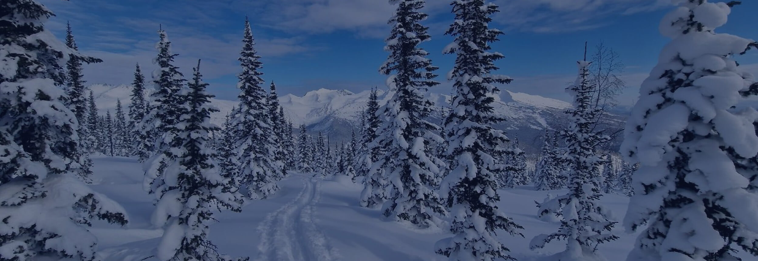 Алтай: Зимнее путешествие мечты