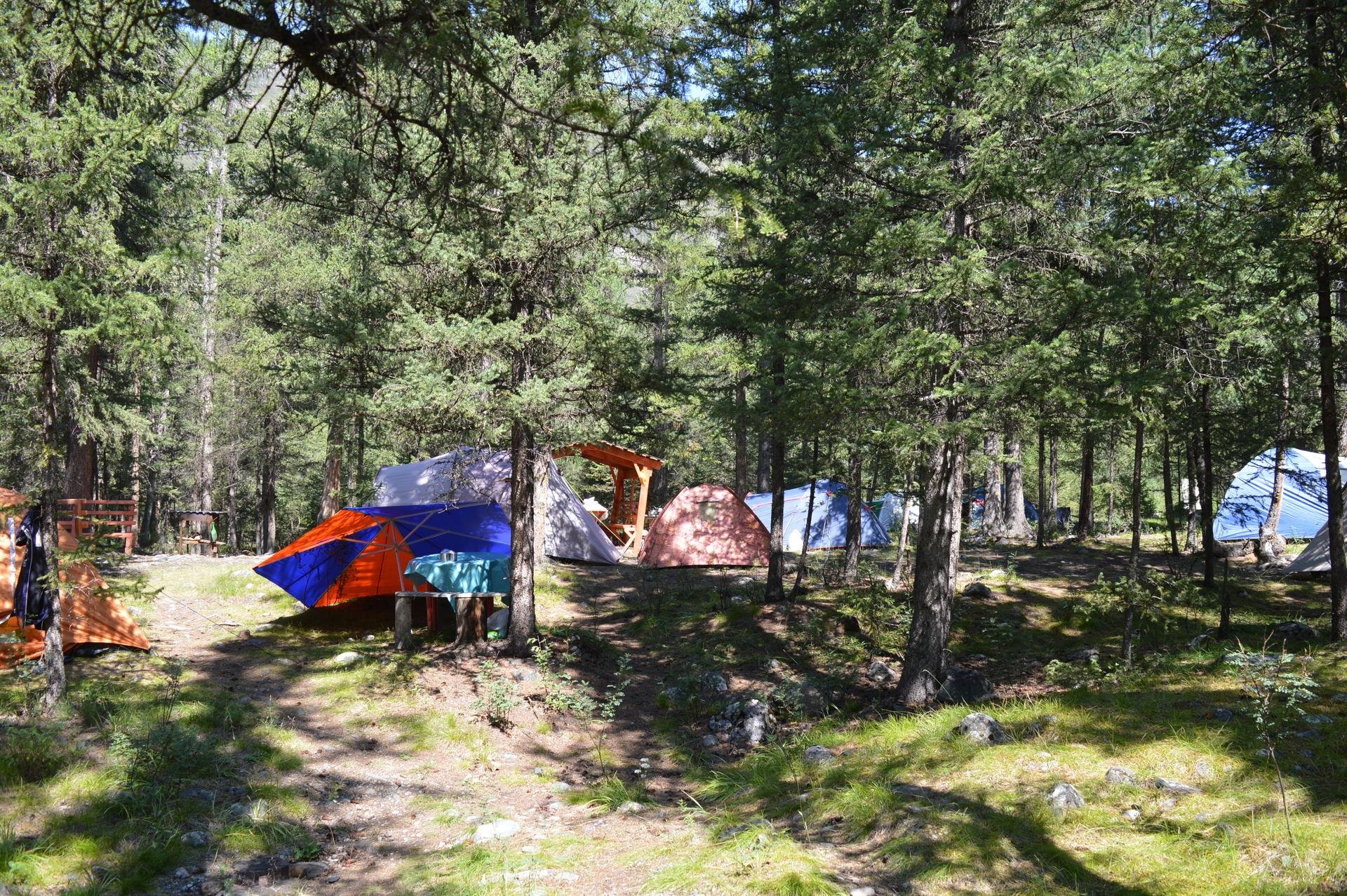 Как дома - фото 43